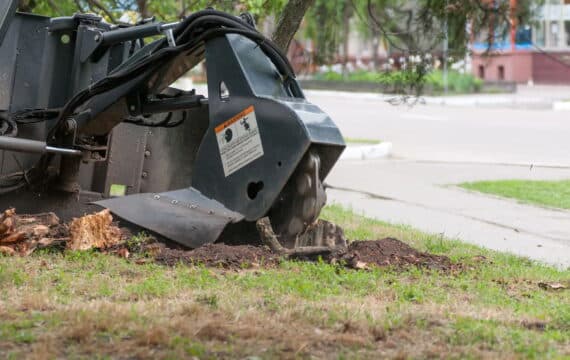 Gallery image 5 — affordable landscaping San Diego