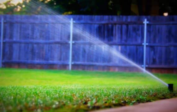 Gallery image 6 — affordable landscaping San Diego
