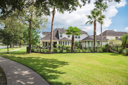 professional tree trimming near me
