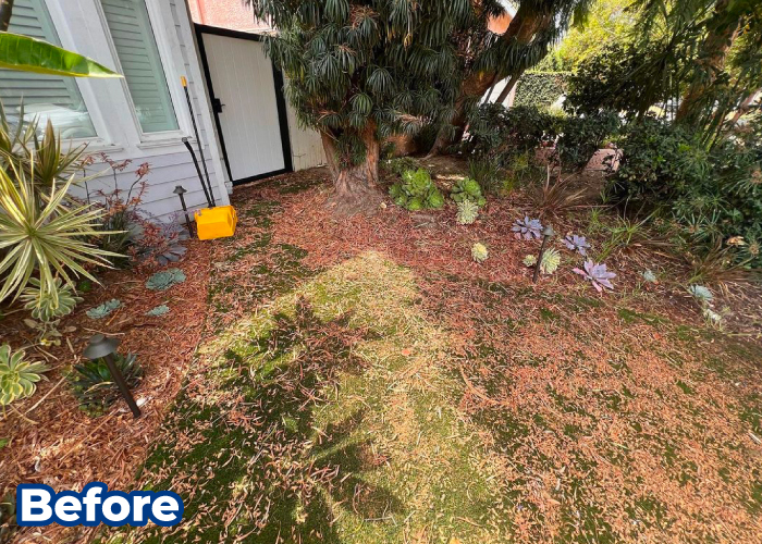 Gallery image 6 — turf maintenance San Jose CA