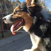 Gallery image 1 — bathroom renovation contractors San Diego