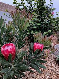 Gallery image 3 — custom patio design Rancho Peñasquitos, San Diego, CA