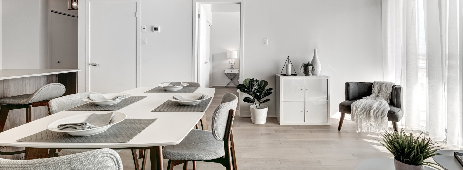 affordable deep cleaning San Diego County