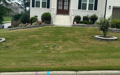 Gallery image 4 — residential lawn service near me