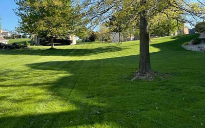 Gallery image 1 — same day lawn mowing Chicago