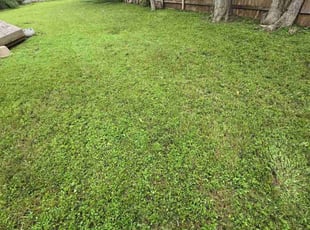 Gallery image 6 — residential lawn service near me