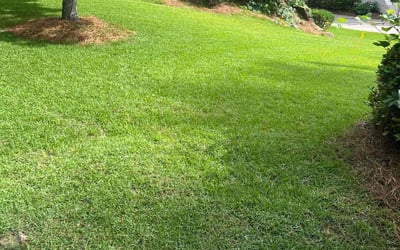 Gallery image 3 — best lawn service in Atlanta