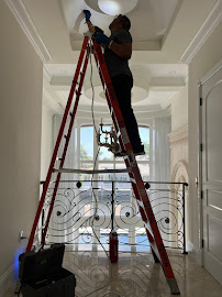 bee hive removal near me