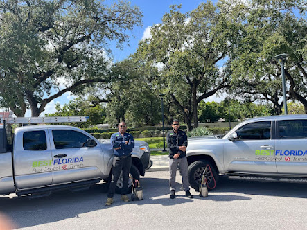 About cockroach exterminator in South Florida