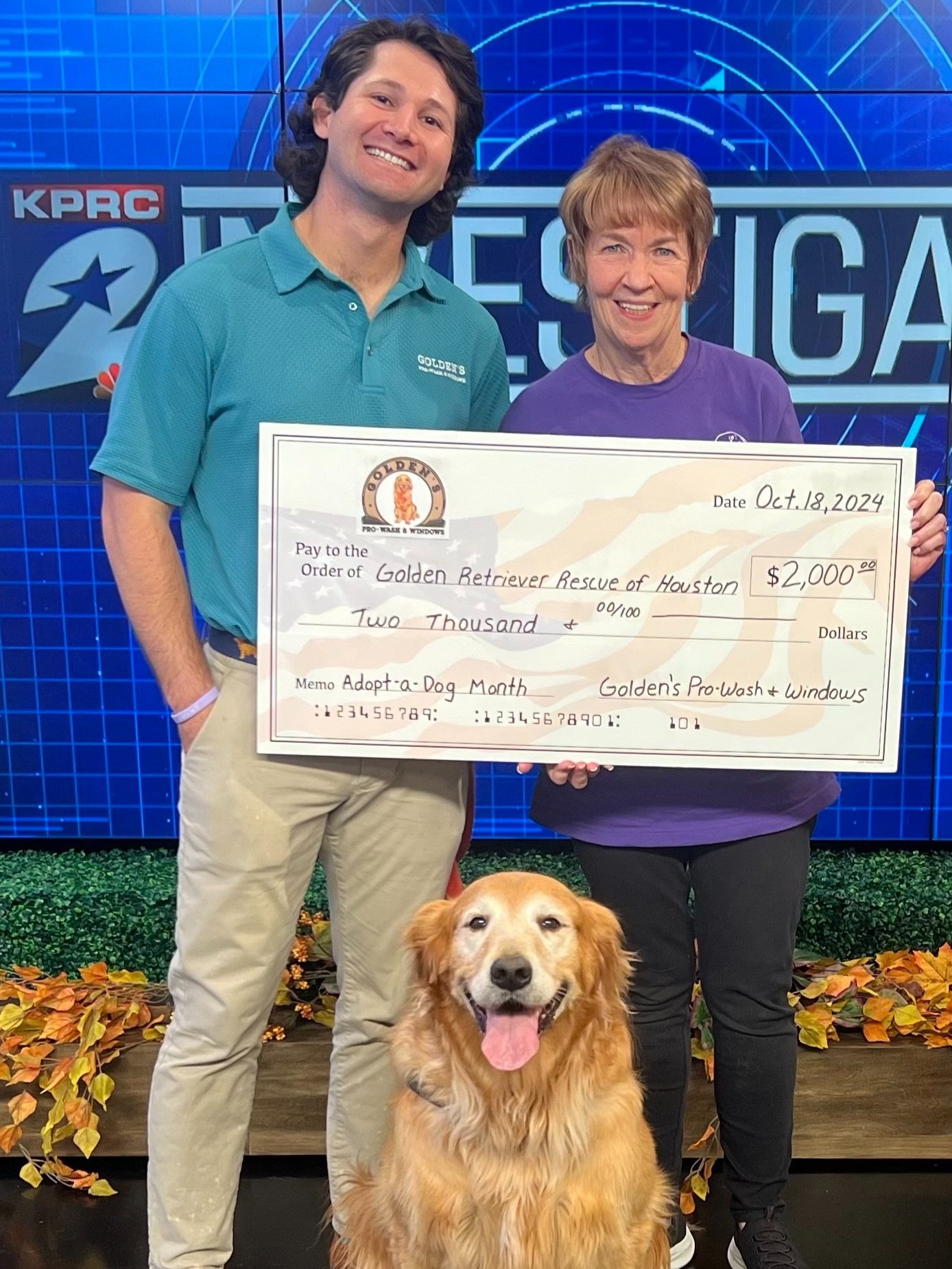 Gallery image 6 — exterior cleaning West University