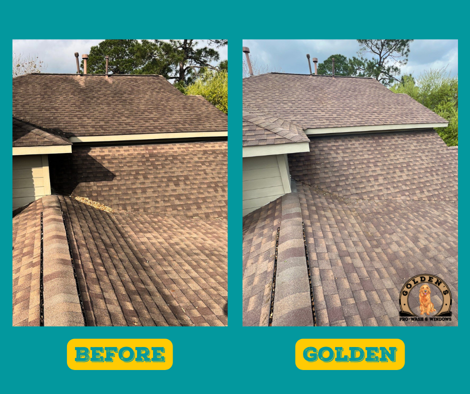 Gallery image 4 — exterior cleaning West University