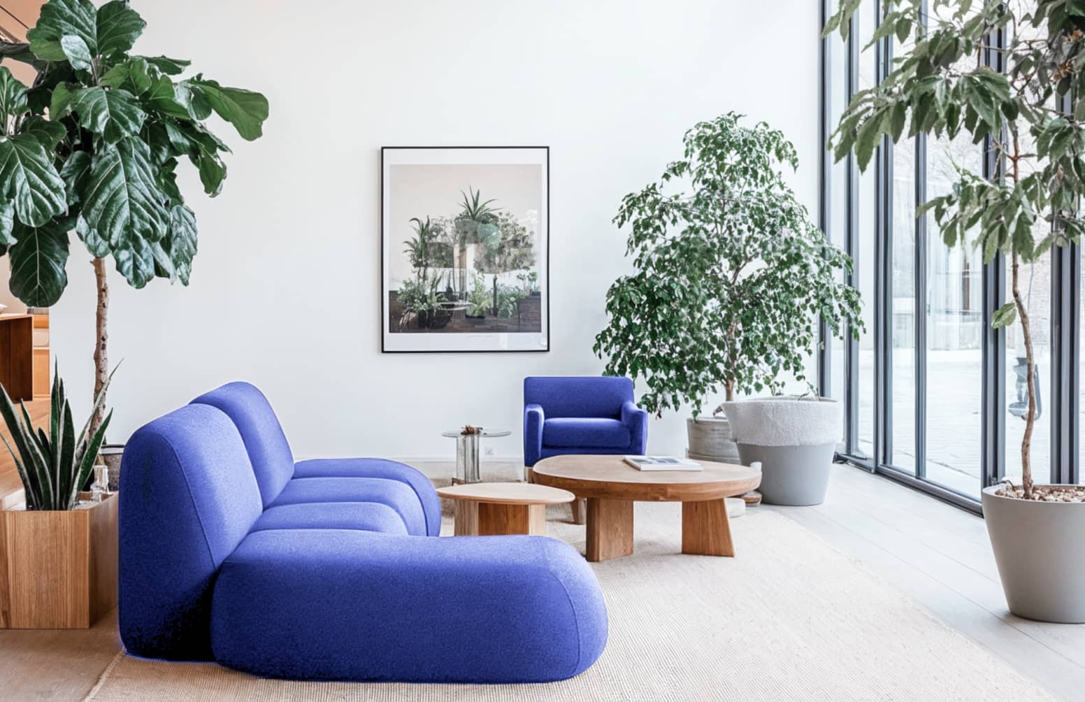 thorough house cleaning San Diego