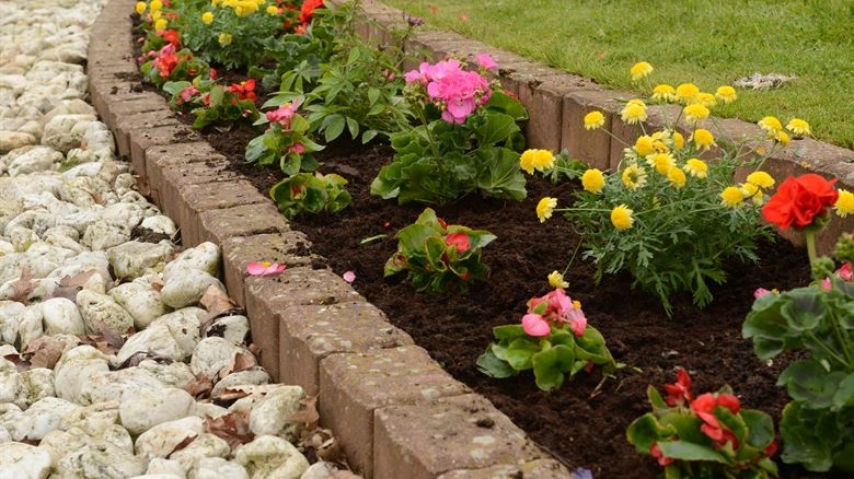 Gallery image 3 — weekly lawn mowing in Peninsula