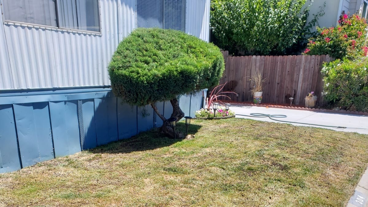 Gallery image 1 — weekly lawn mowing in Peninsula