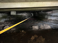 best pest control in Miami