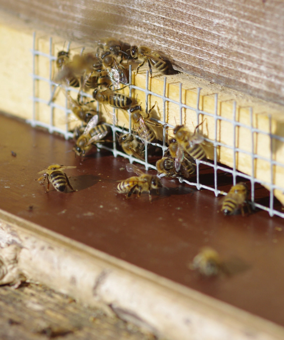 Gallery image 9 — commercial pest control Miami Gardens