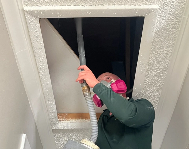 Gallery image 2 — commercial pest control Miami Gardens