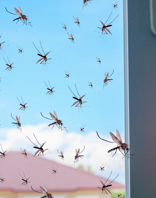 Gallery image 5 — commercial pest control Miami Gardens