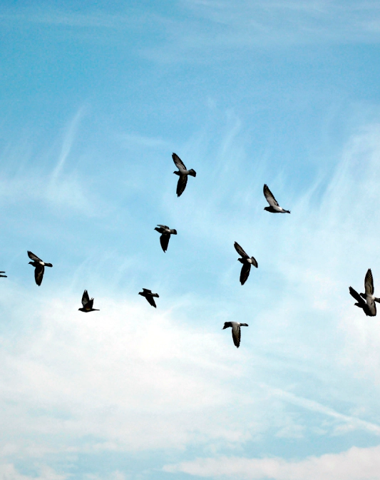 Gallery image 6 — commercial pest control Miami Gardens