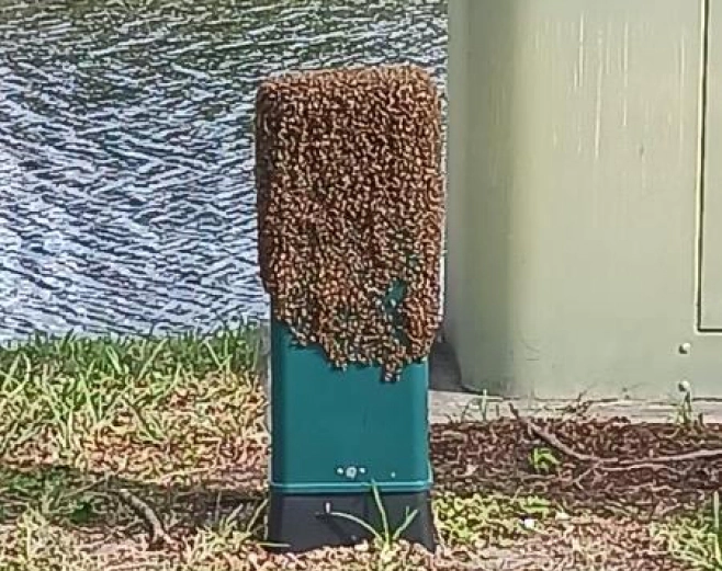 Gallery image 3 — commercial pest control Miami Gardens