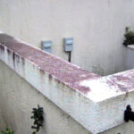 Gallery image 8 — house washing Houston Texas