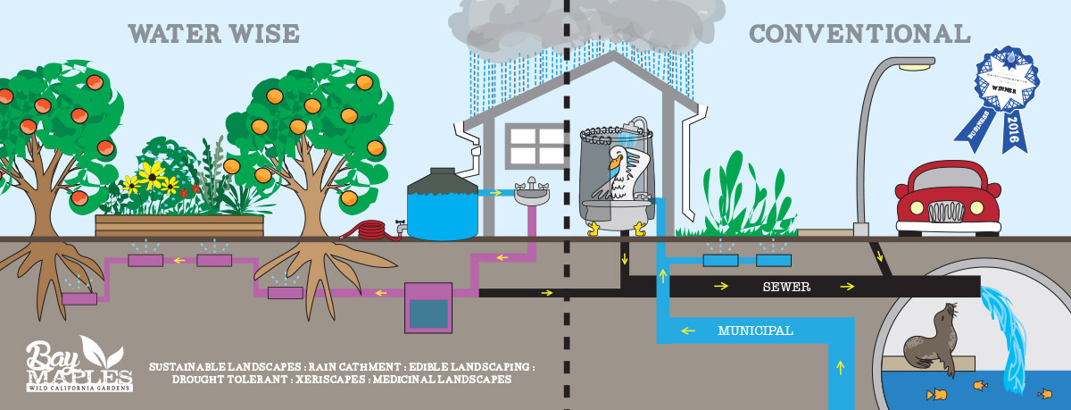 Gallery image 5 — best landscape designer Santa Clara County