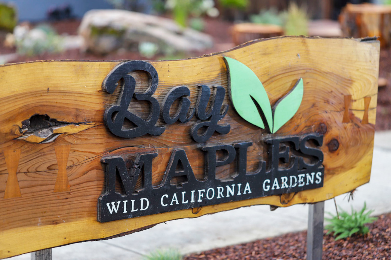 best landscape designer Santa Clara County