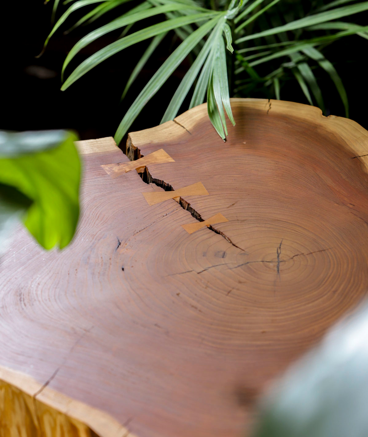 Gallery image 2 — best landscape designer Santa Clara County