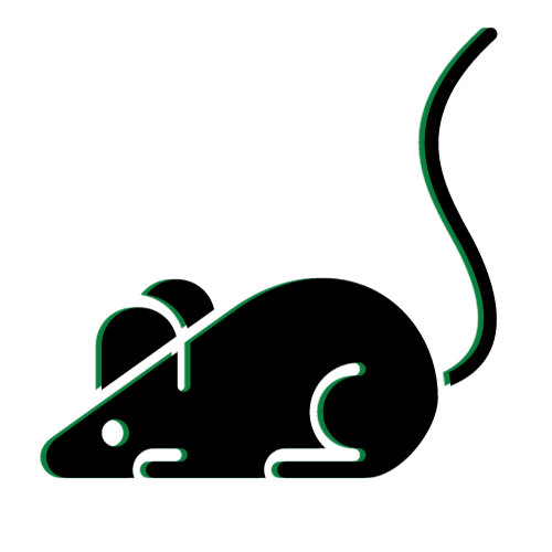 Gallery image 9 — mosquito control in Coral Gables