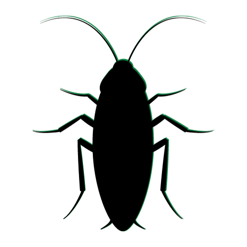 Gallery image 1 — mosquito control in Coral Gables