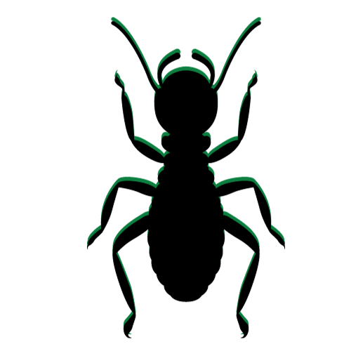 Gallery image 3 — mosquito control in Coral Gables