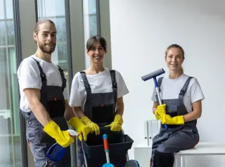 About solar panel cleaning Houston