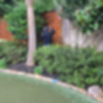 roof soft wash near me