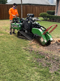 tree care Dallas