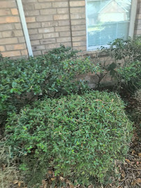 About deck cleaning Pearland