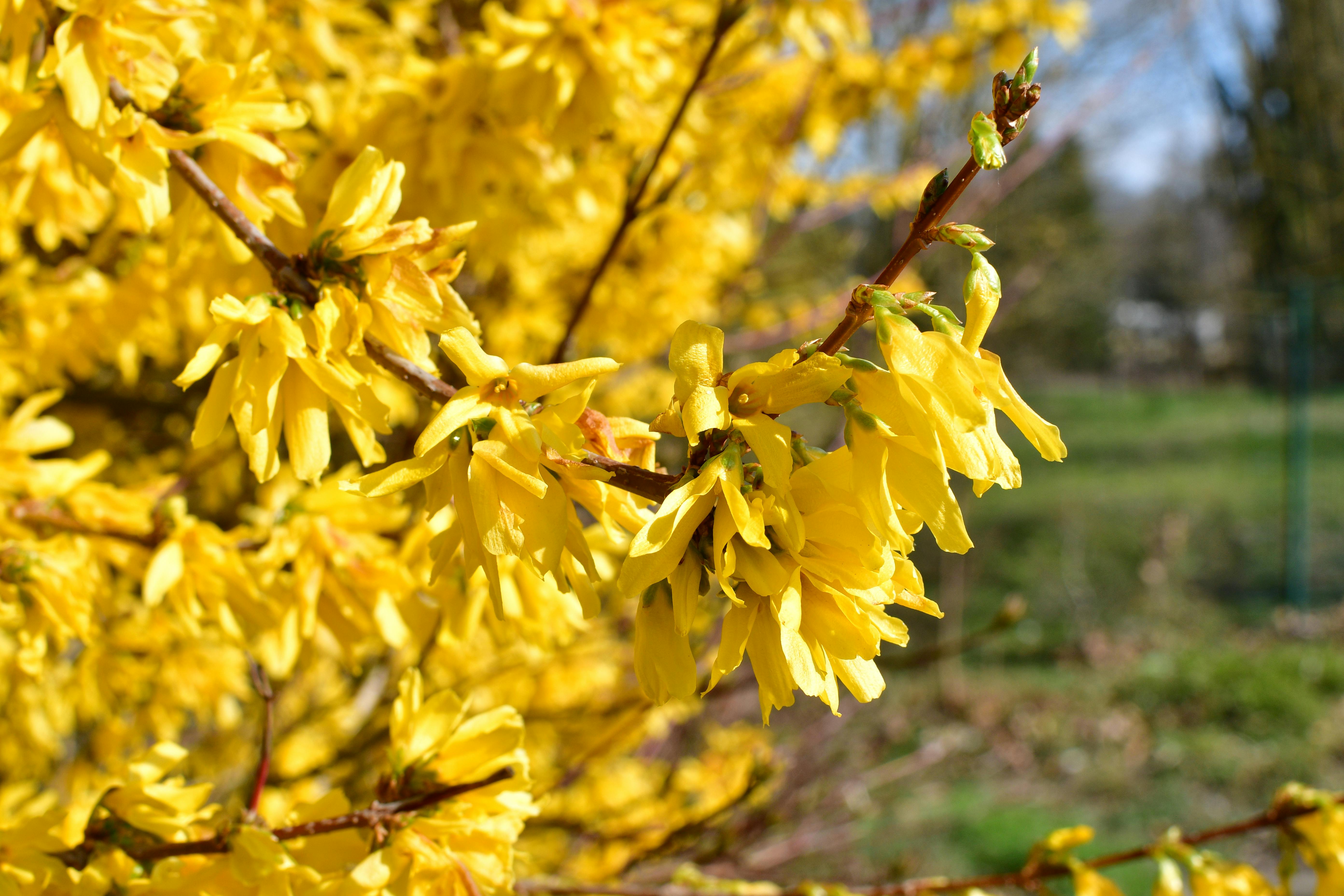 Gallery image 2 — affordable pest control Miami