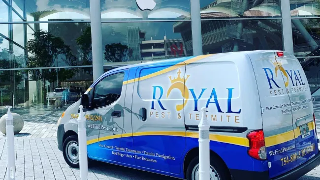 Gallery image 7 — pet-friendly lawn care Miramar