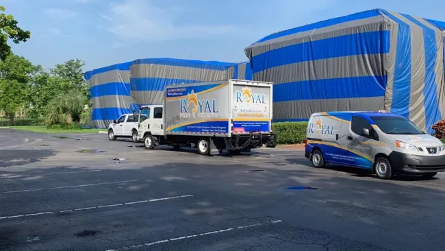 Gallery image 2 — pet-friendly lawn care Miramar