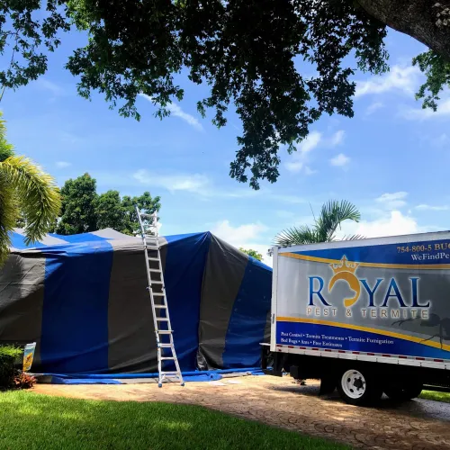 Gallery image 6 — pet-friendly lawn care Miramar