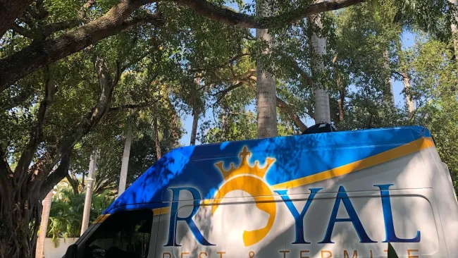 Gallery image 5 — pet-friendly lawn care Miramar