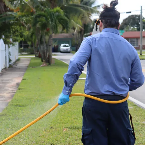 Gallery image 8 — pet-friendly lawn care Miramar