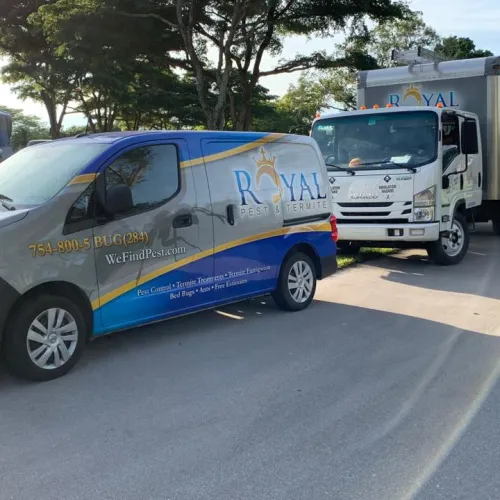 pest control Miramar