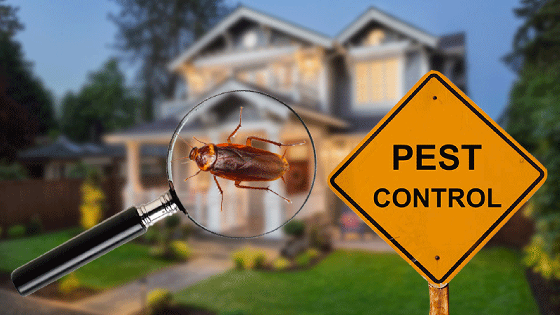 Gallery image 6 — pest control in Miami