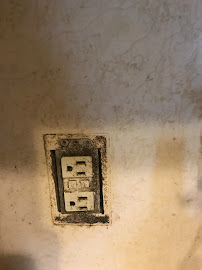 pest inspection Miami