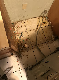 Gallery image 3 — pest control in Miami