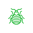 Gallery image 1 — bed bug exterminator BPM Environmental Solutions