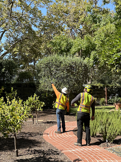 About line clearance trimming Menlo Park