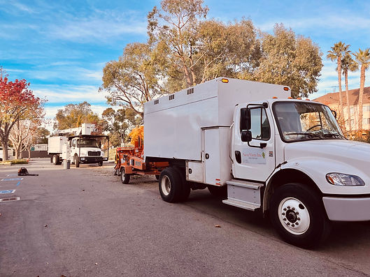 line clearance trimming Menlo Park