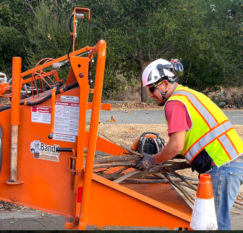 Gallery image 4 — line clearance trimming Menlo Park