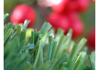 Gallery image 3 — commercial artificial grass San Jose